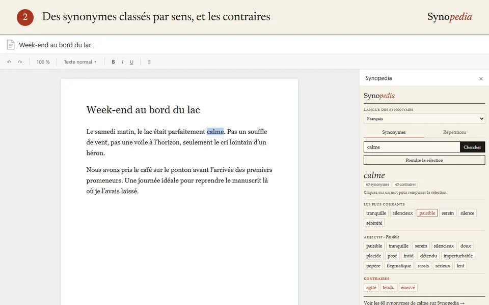 Synopedia pour Google Docs